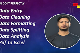 do accurate excel data entry, cleaning, formatting and copy paste