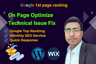 do onpage SEO and technical optimize service