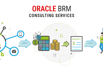 troubleshoot oracle brm and ece issues with live consultation