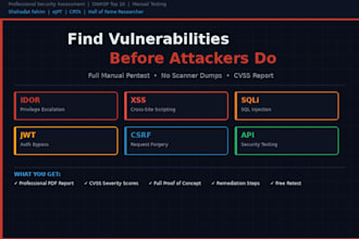 do web application penetration testing and security audit