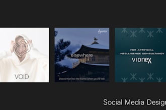 design professional social media posts and templates