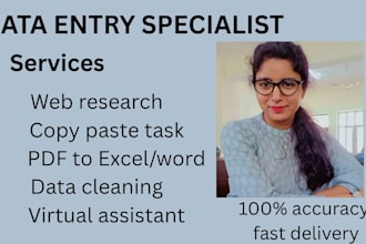 do expert data entry, web research and PDF to excel conversion