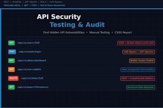 perform API security testing and vulnerability assessment
