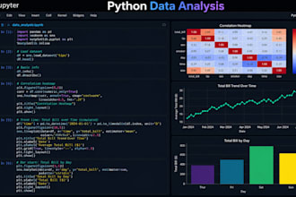 perform python data analysis and deliver business intelligence insights