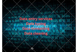 do data enrty and cleaning with excel