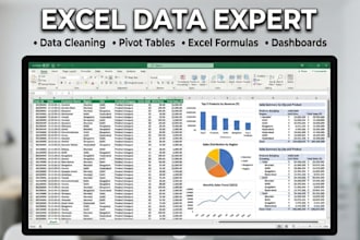 do excel data cleaning, pivot tables, formulas and dashboards
