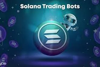 build solana volume bot,volume alert bot,market maker bot
