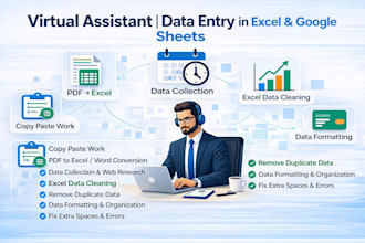 do data cleaning, formatting, copypaste, and other tasks as a virtual asistant
