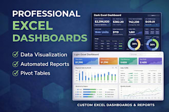 create professional excel dashboard and visualization