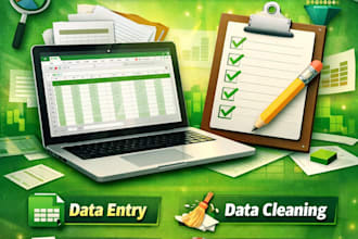 do accurate excel data entry, data cleaning and copy paste