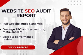 do website SEO audit and provide professional audit report