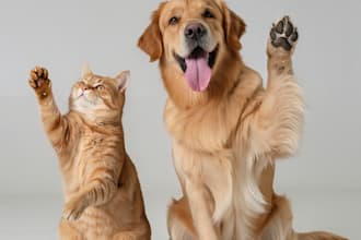 generate images in ai