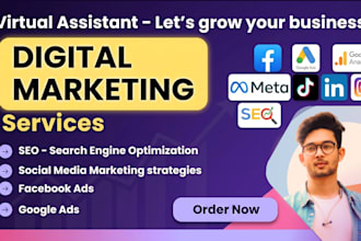 run facebook ads campaign, instagram ads, meta ads as your social media manager
