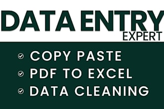 do excel data cleaning, formatting and data entry
