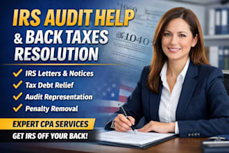 assist with irs audit help and back taxes resolution