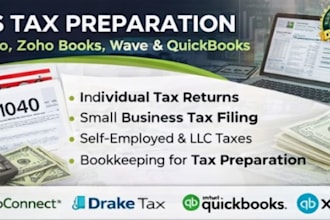 prepare and file US tax returns for individuals and llcs