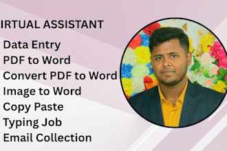 convert PDF to word, do data entry, convert PDF to excel