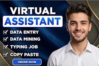 be your virtual assistant for data entry, data mining, copy paste, web research