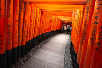 create a detailed custom japan travel itinerary
