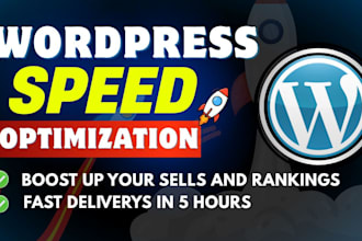 wordpress speed optimization and pagespeed boost