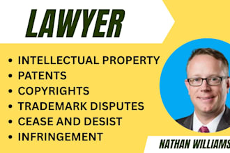 be intellectual property, trademark, patent and copyright infringement lawyer