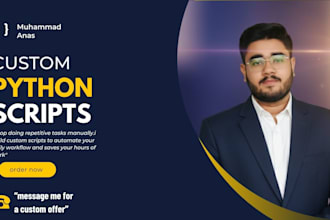 master python basics, solve assignments with expert guidance