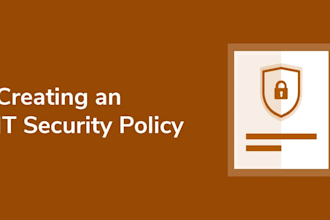offer services such as IT audits policy and governance