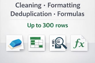 excel data cleaning and spreadsheet organization