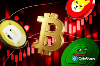 help speed crypto memecoin trading bot bitcoin for you