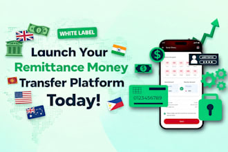 do remittance money transfer platform