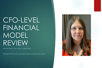 deliver a cfo level review of your financial model