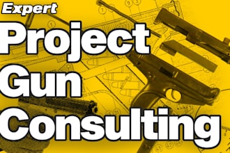 be a consultant on guns for your project