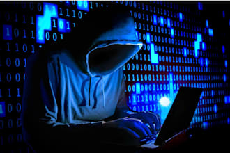 do forensic accounting report, autopsy, financial audit, fraud detection, report