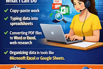 do professional data entry in excel within 48 hours