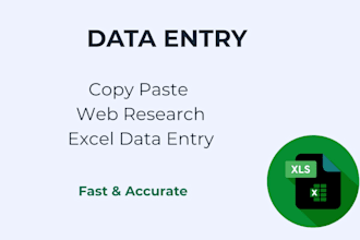 do accurate data entry, copy paste, excel data entry and web research