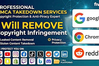 provide professional dmca takedown and copyright removal
