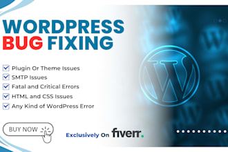 fix wordpress errors, bugs, issues and website problems
