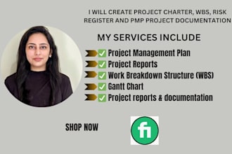 create project charter, wbs, risk register and pmp project documentation