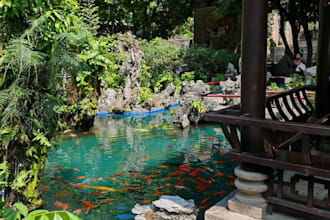 answer questions on your peronal or business trip to china