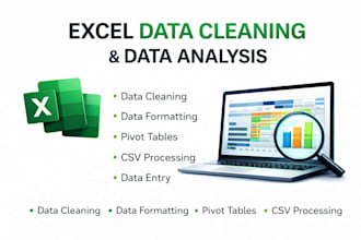 do excel data clean, format, pivot tables and analytics