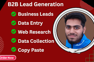 b2b lead generation, web research, data entry and copy paste