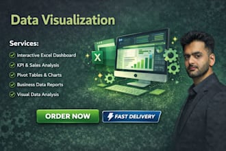 create professional excel dashboards and data visualization