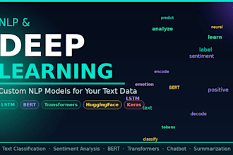 develop a custom nlp and deep learning solution using python and bert
