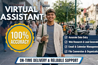 provide professional virtual assistant and fast data entry service