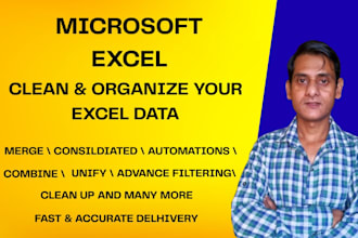 do professional data cleaning, formatting, and excel data cleanup