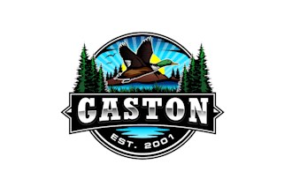 create professional and specially duck logo design