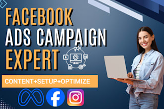 be manage facebook ads campaign for high sales