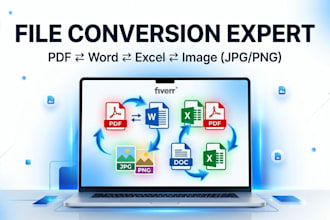 do fast and accurate file conversion