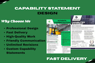 design a professional capability statement for government contracts