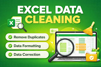 do data cleaning, excel data formatting and web scraping